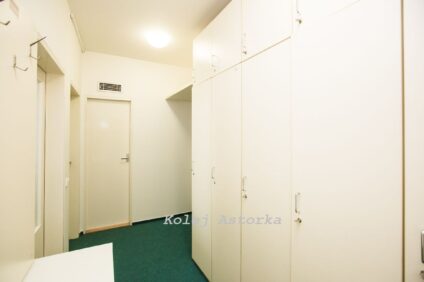 Fotky a&nbsp;vizualizace