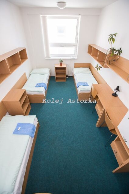 Fotky a&nbsp;vizualizace